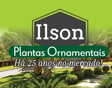 Ilson Plantas Ornamentais logo