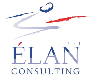 Elan Consutling logo