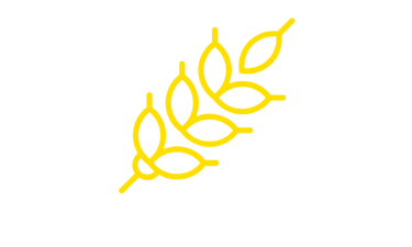 https://www.calypsoholdingconstruction.com/ logo
