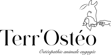 Terr'Osteo  logo