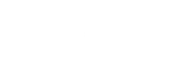 Iguana Soluções logo