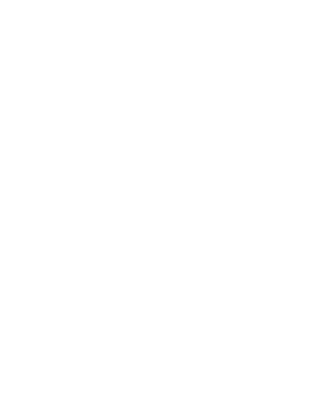 Pixel Mind Studio  logo