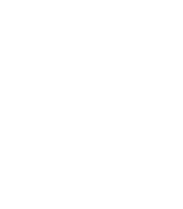 Pixel Mind Studio  logo