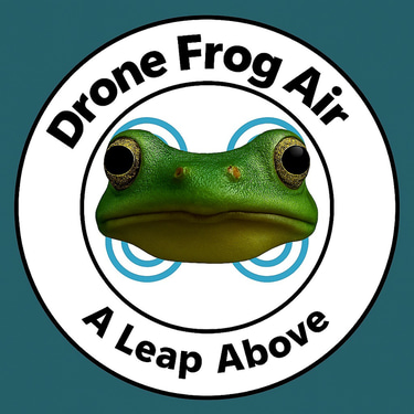 Drone Frog Air logo