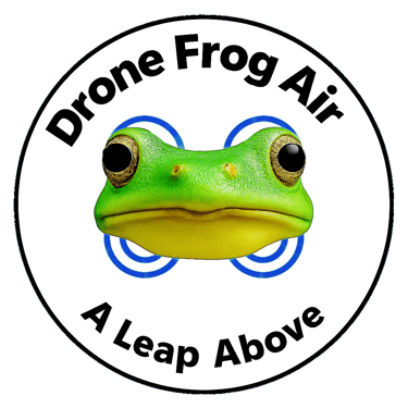 Drone Frog Air logo