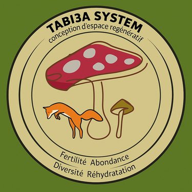 Tabi3a Systeme logo