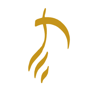 Lamsa Faniya logo