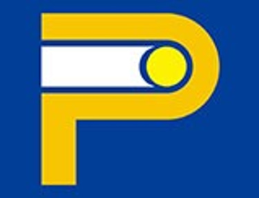 PARADIGM INNOMED logo