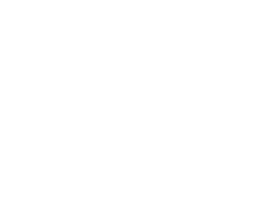 Salsinha Comunicação logo