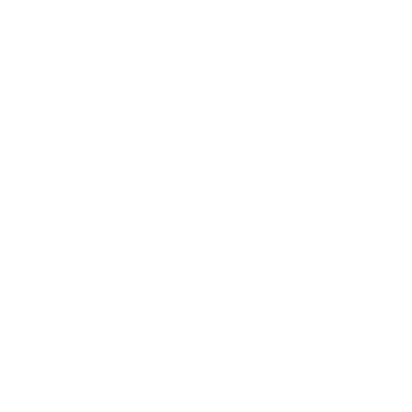 Hans Photography logo