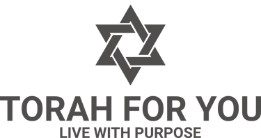 RABBI DAVID BASSOUS, JEWISH, EDUCATION, PHILOSOPHY, LEARNING, TORAH, JUDAISM  logo