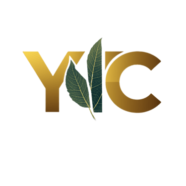 Yash Trading Company By Kuldeep Kashyap logo