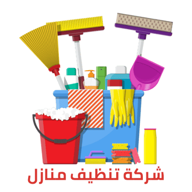 تنظيف منازل الرياض logo