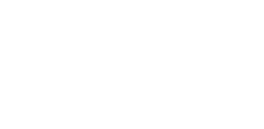 HIDDEN logo