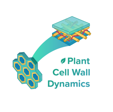 Green cell wall dynamics lab logo