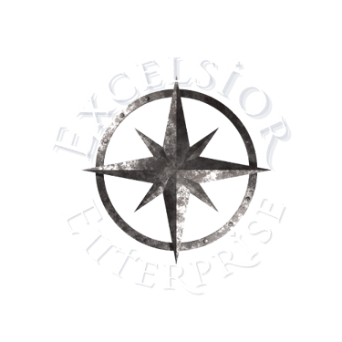 www.ExcelsiorEnterprise.net logo