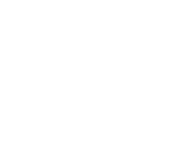 H2PURUS logo