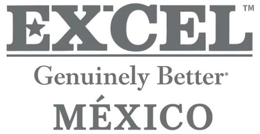 Excel logo