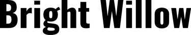 brightwillow.store logo