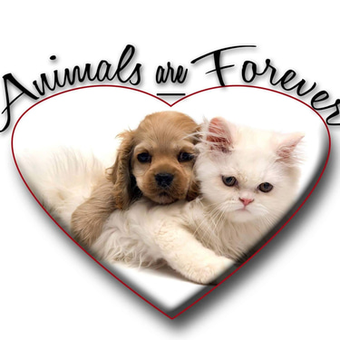 animals are for ever logo