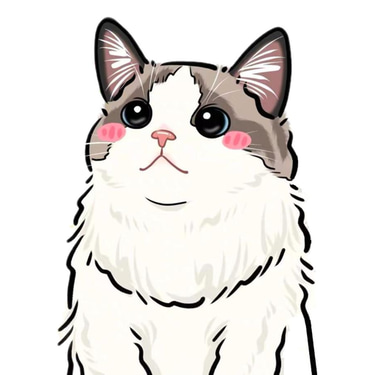 CaTech Studio LLC logo