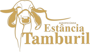 Estância Tamburil - Gir Leiteiro - Girolando - Embriões Bovinos - Vacas Leiteiras - Embriões de Gir Leiteiro - Embriões de Girolando logo