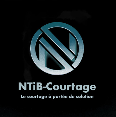 NTiB-Courtage logo