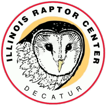 Illinois Raptor Center logo