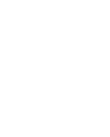 Optimist IBK logo