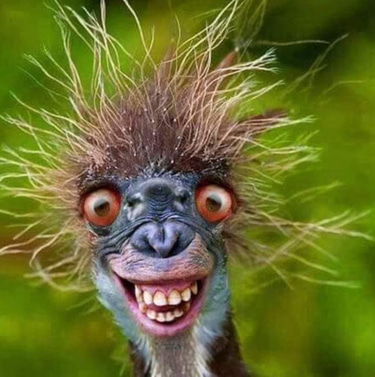 Spiritual Connections logo