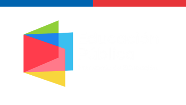 Consejos Locales de Educación Pública logo