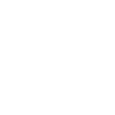 Visualab logo