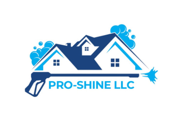 Pro Shine logo