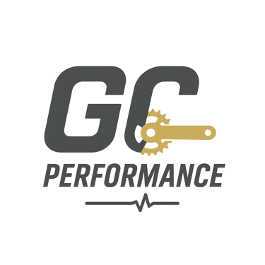 Biomeccanico Verona logo