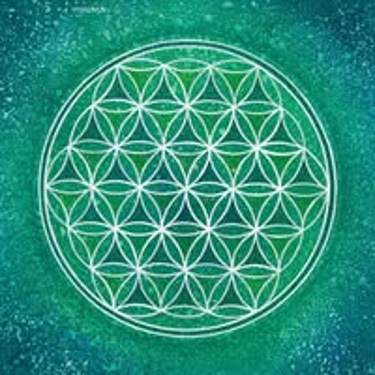 Холистиг Гуард logo