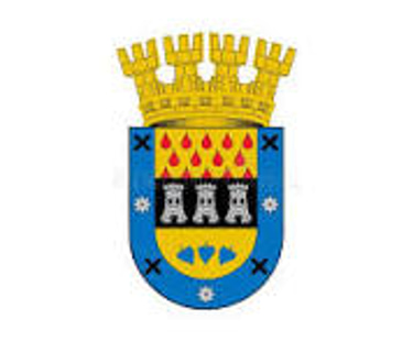 DESCUBRE  SAN CARLOS logo