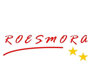 ROESMORA SEWA PERALATAN CATERING logo
