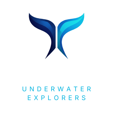 Alor Underwater Explorers logo