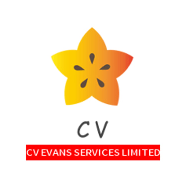 CV EVANS SERVICES LIMITED logo