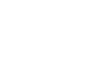 North Conway Family Chiropractic logo