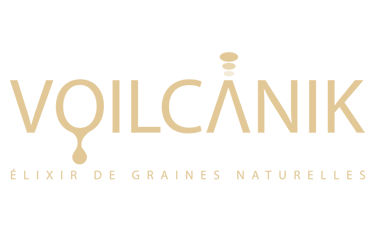 voilcanik logo