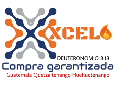 XCEL logo