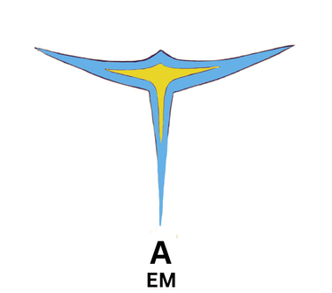 AustinEmerald 吠陀占星 & 卡巴拉 logo