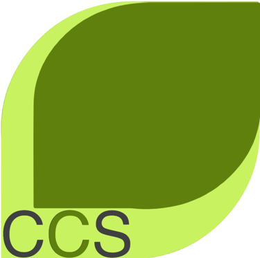 CCS Network Ltd logo