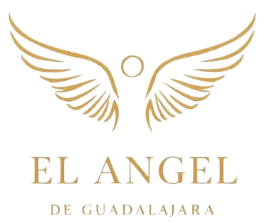 El Angel De Guadalajara logo