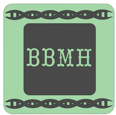 Bioinformatics and Black Maternal Health logo