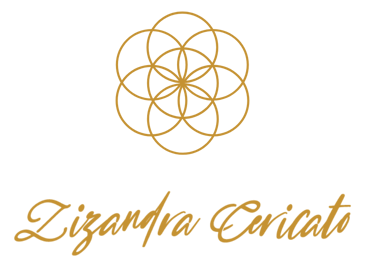 Lizandra Cericato logo
