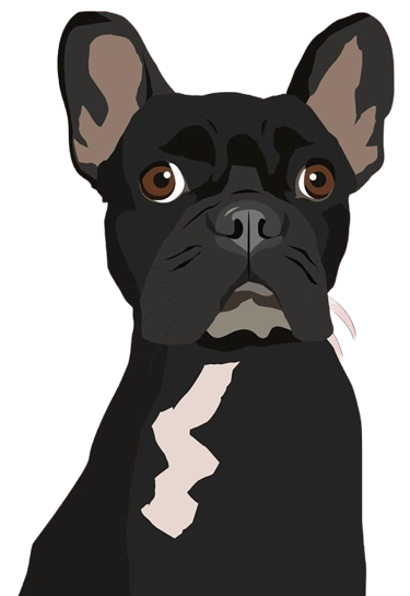 Bulldogge Welt - Französische Bulldogge Welpen Kaufen Kiel logo