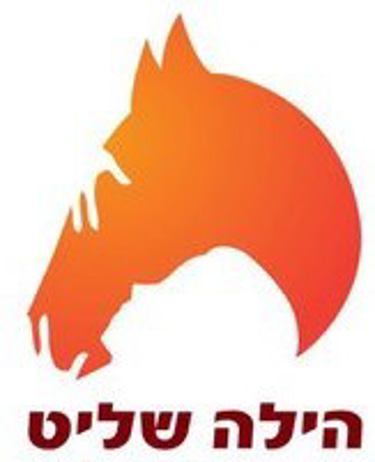 Hila Shalit logo