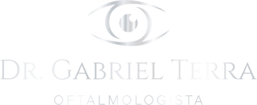 Gabriel Terra logo